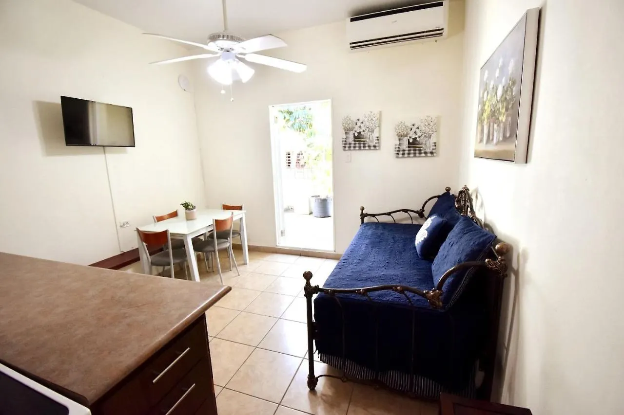 Apartment Condado Beach & Rooftop Garden For Large Groups - Apt 2 San Juan